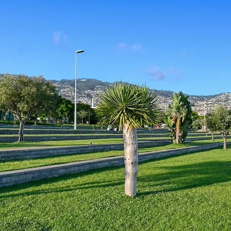 Beco Santa Emilia 2h, A In Madeira *